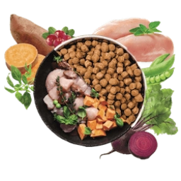 Aus der Vogelperspektive ist eine Schüssel mit Trockenfutter und Nassfutter zu sehen