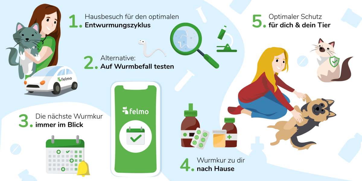 Ablauf der Wurmkur