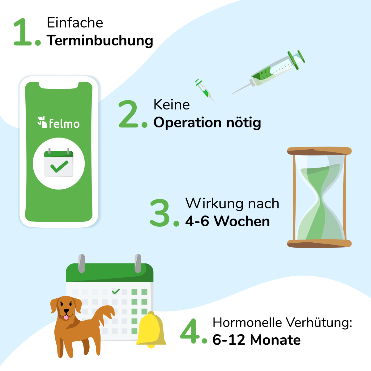 Chemische Kastration für Rüden im Hausbesuch