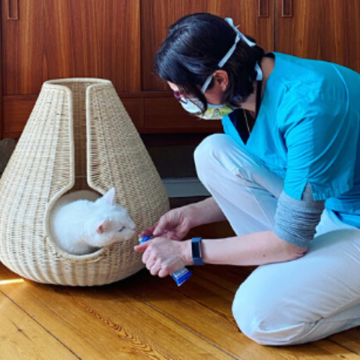 Katze wird gefüttert