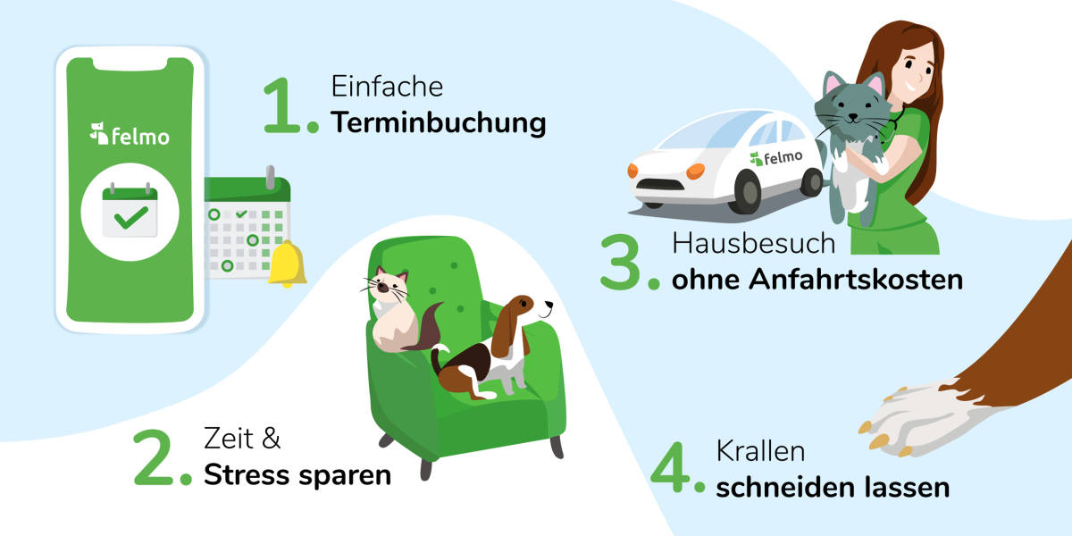 Krallen schneiden im Hausbesuch