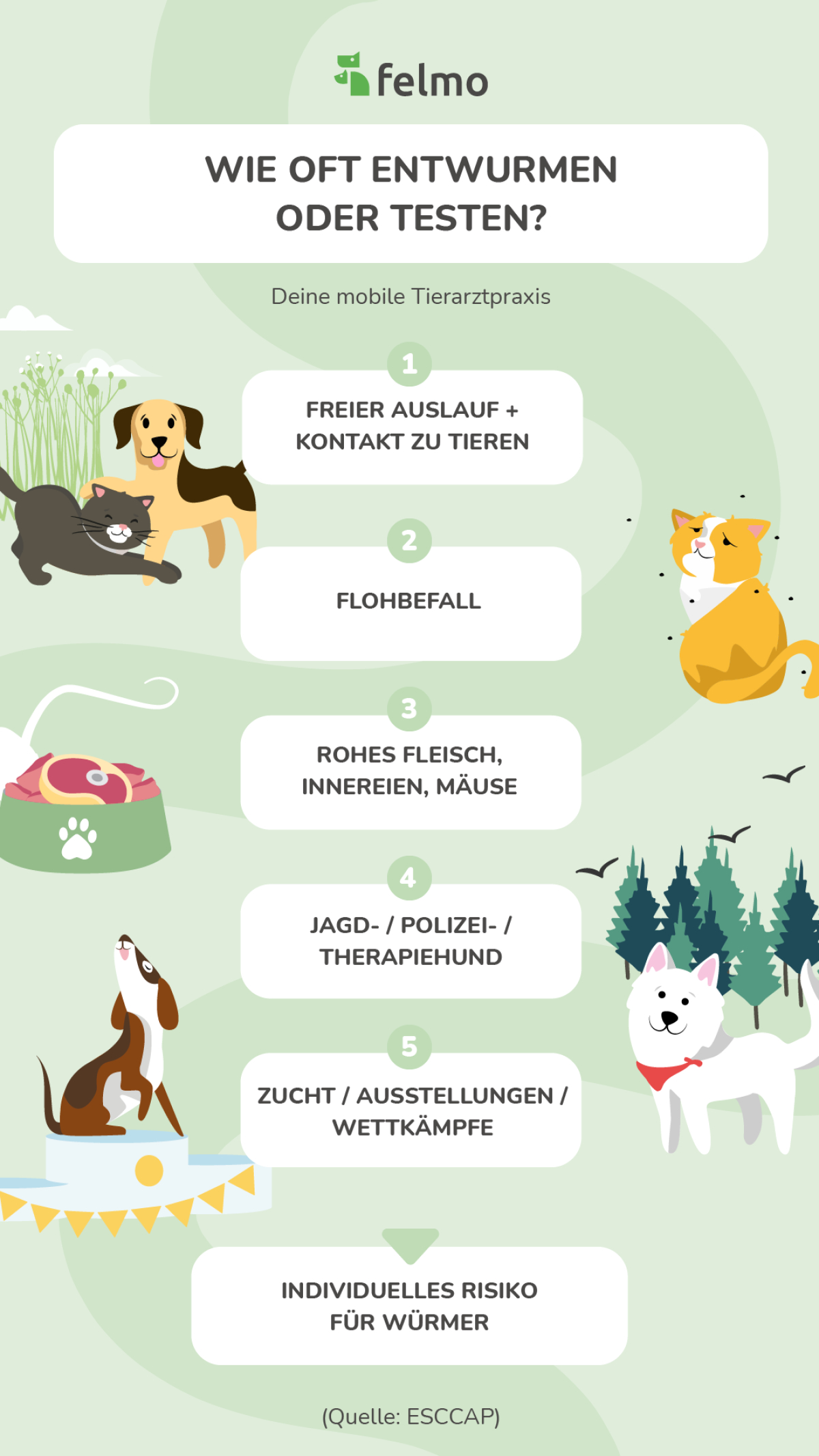 wie oft entwurmen oder testen