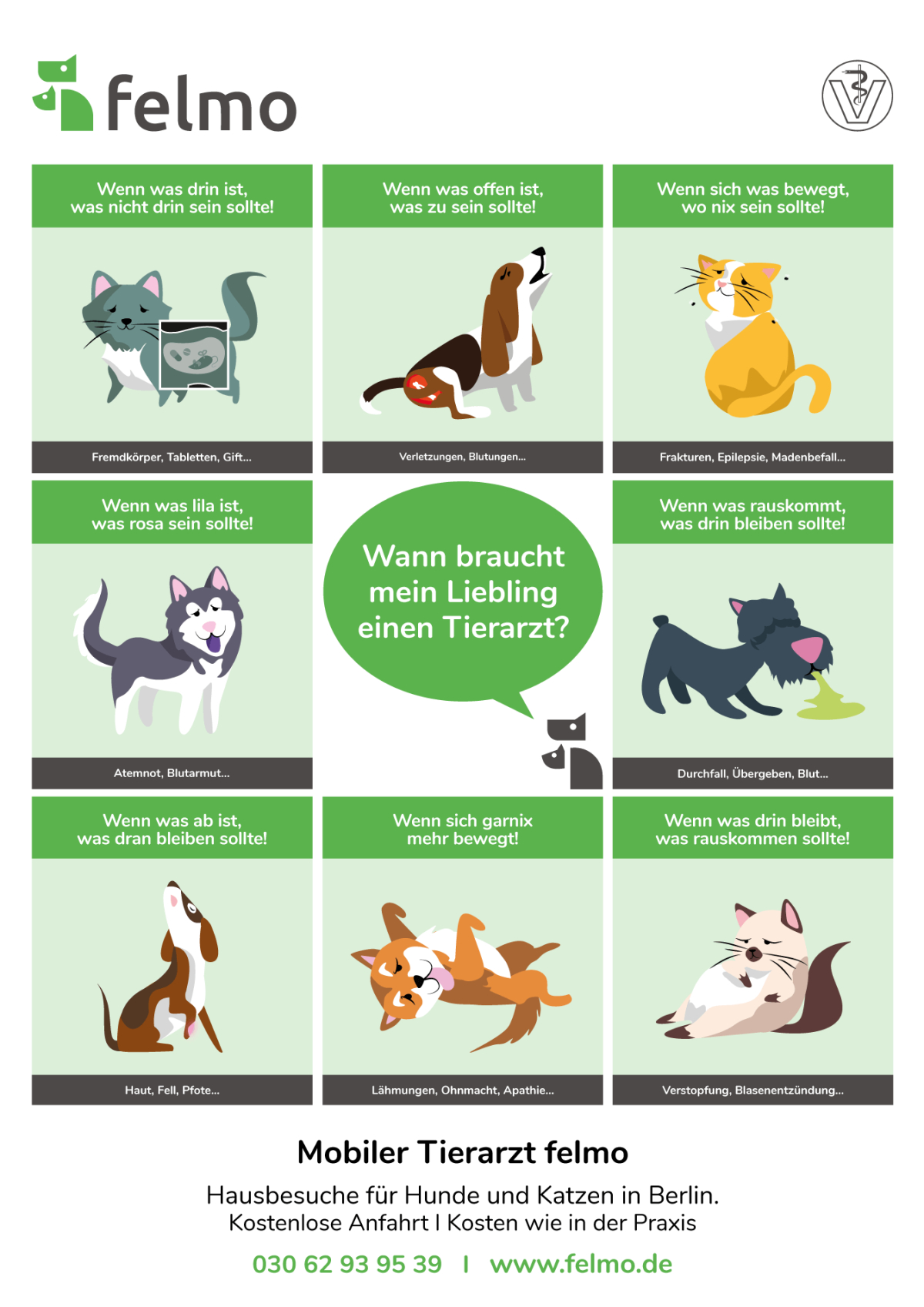 Infografik: Wann braucht dein Leibling einen Tierarzt?