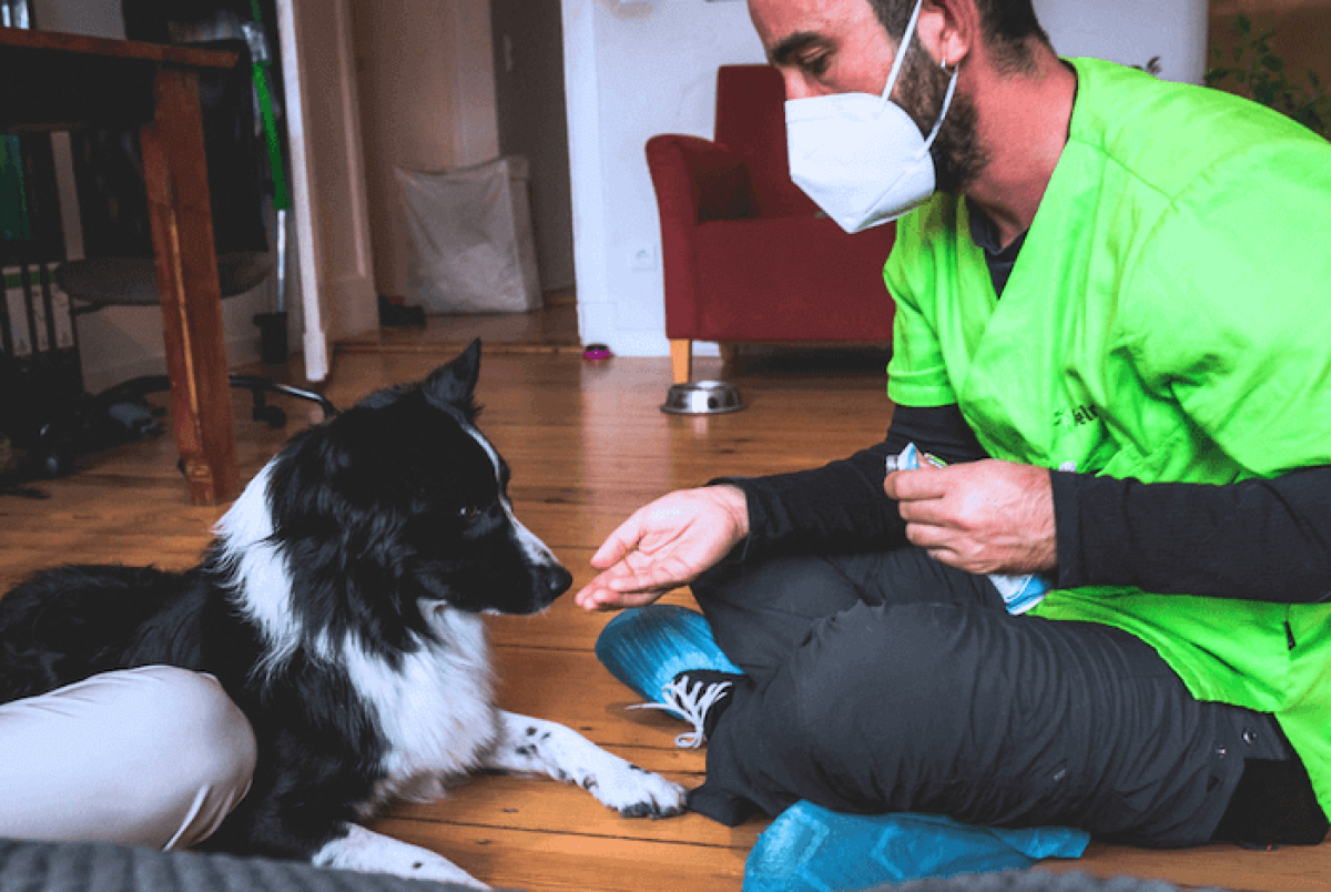 blutuntersuchung-im-hausbesuch