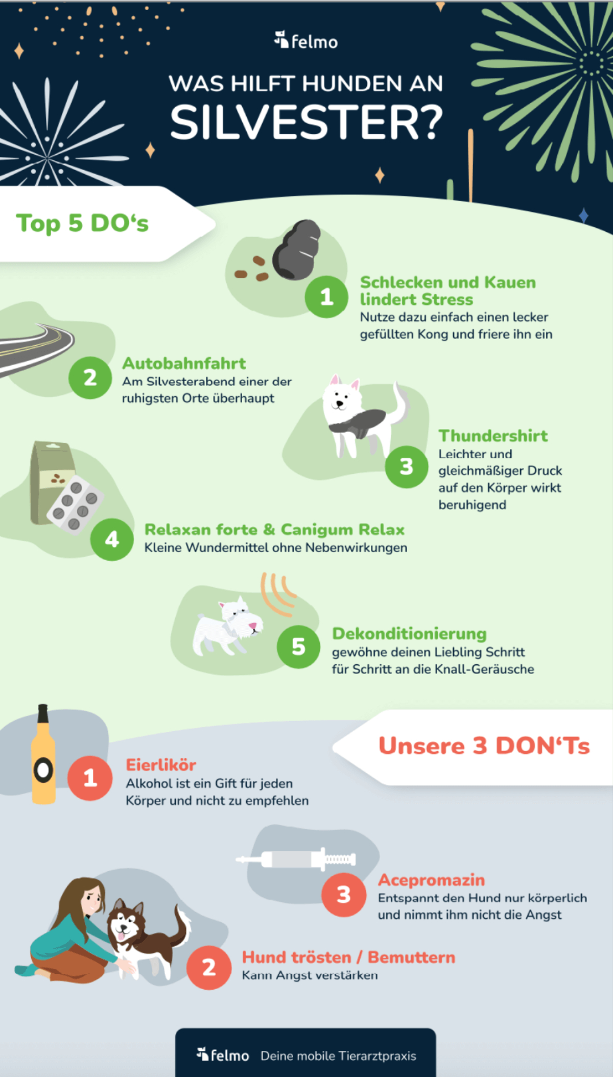 Infografik zu Do' und Dont's an Silvester mit Hund