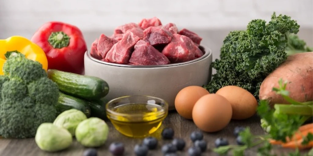 Eine gesunde und ausgewogene Ernährung basiert auf ähnlichen Ernährungsprinzipien wie bei uns Menschen, auch wenn die spezifischen Bedürfnisse variieren können.