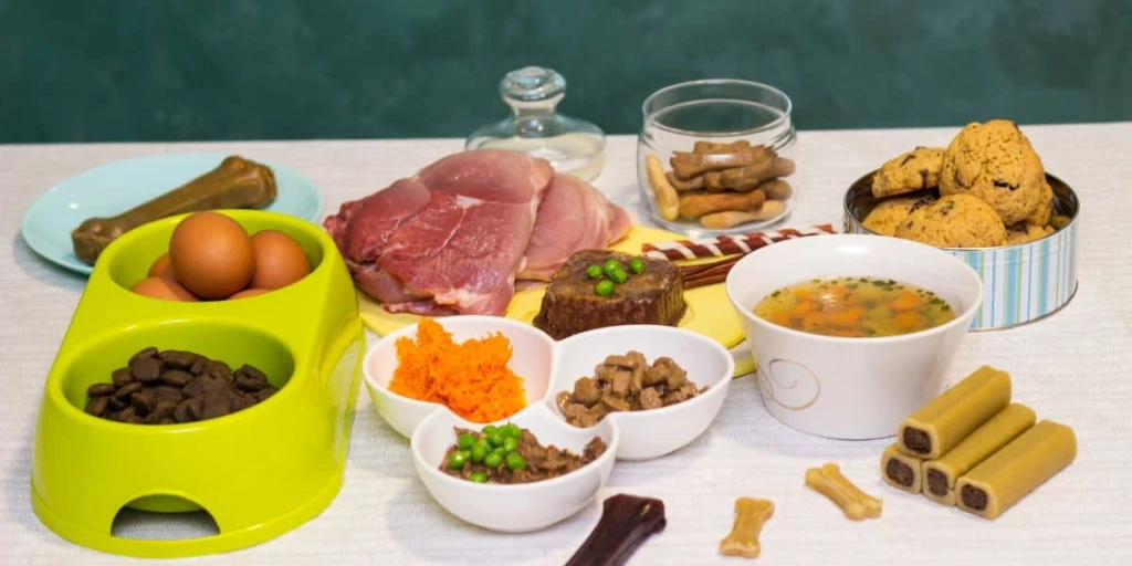 Ein Tisch gedeckt mit einer bunten varianten Vielfalt fĂŒr den Hund. Eier Hundeknochen, Leckerlies, einer Suppe, geschnittenen Möhren und Schnitzelfleisch.
