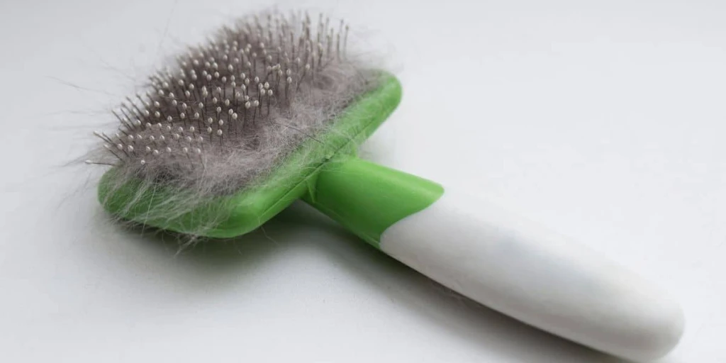 Das gelöste Fell ist Unterfell einer Katze