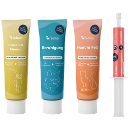 felmo Pasten-Set